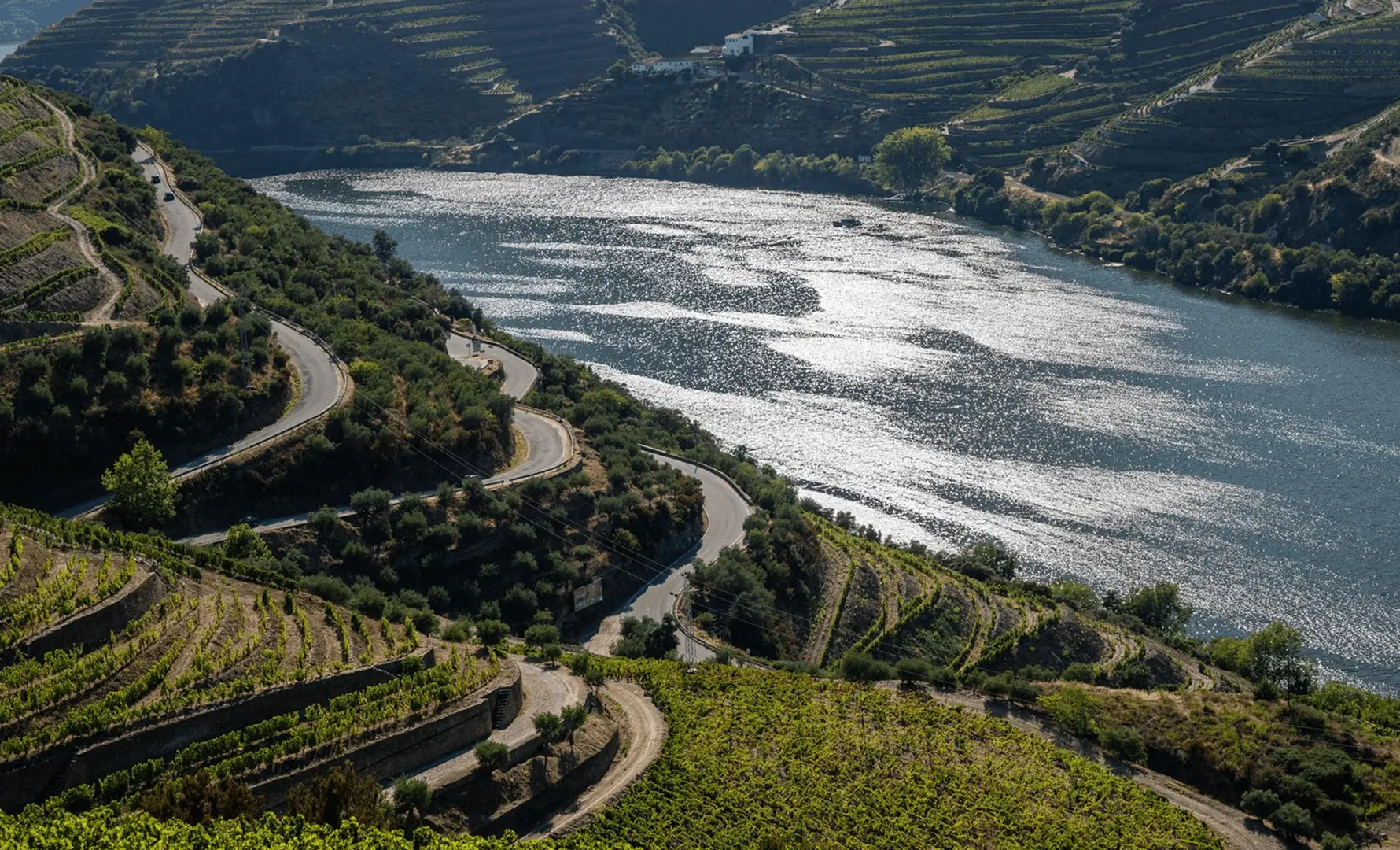 Estrada sinuosa em curvas fechadas entre vinhedos em terraços às margens do Rio Douro, com o reflexo do sol na água e colinas cultivadas ao fundo, no Vale do Douro, Portugal.